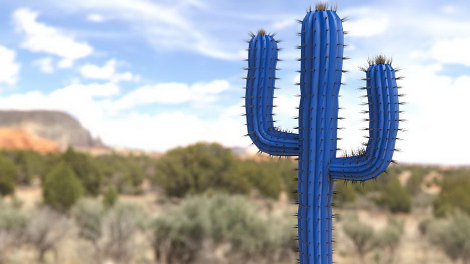 MOBOTIX Cactus Concept